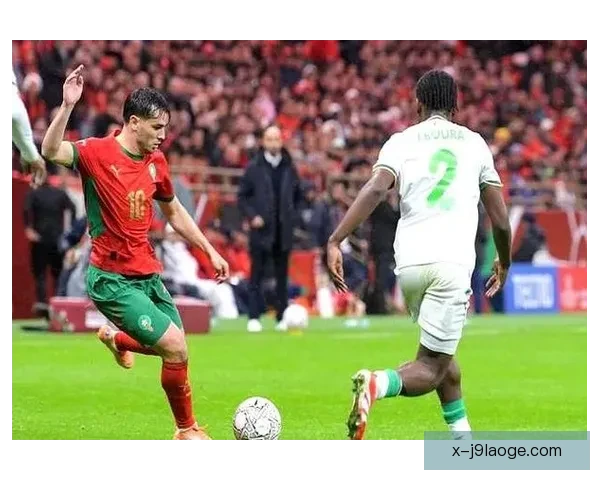 2025年非洲杯正式确认将在摩洛哥举办 引发球迷热烈期待